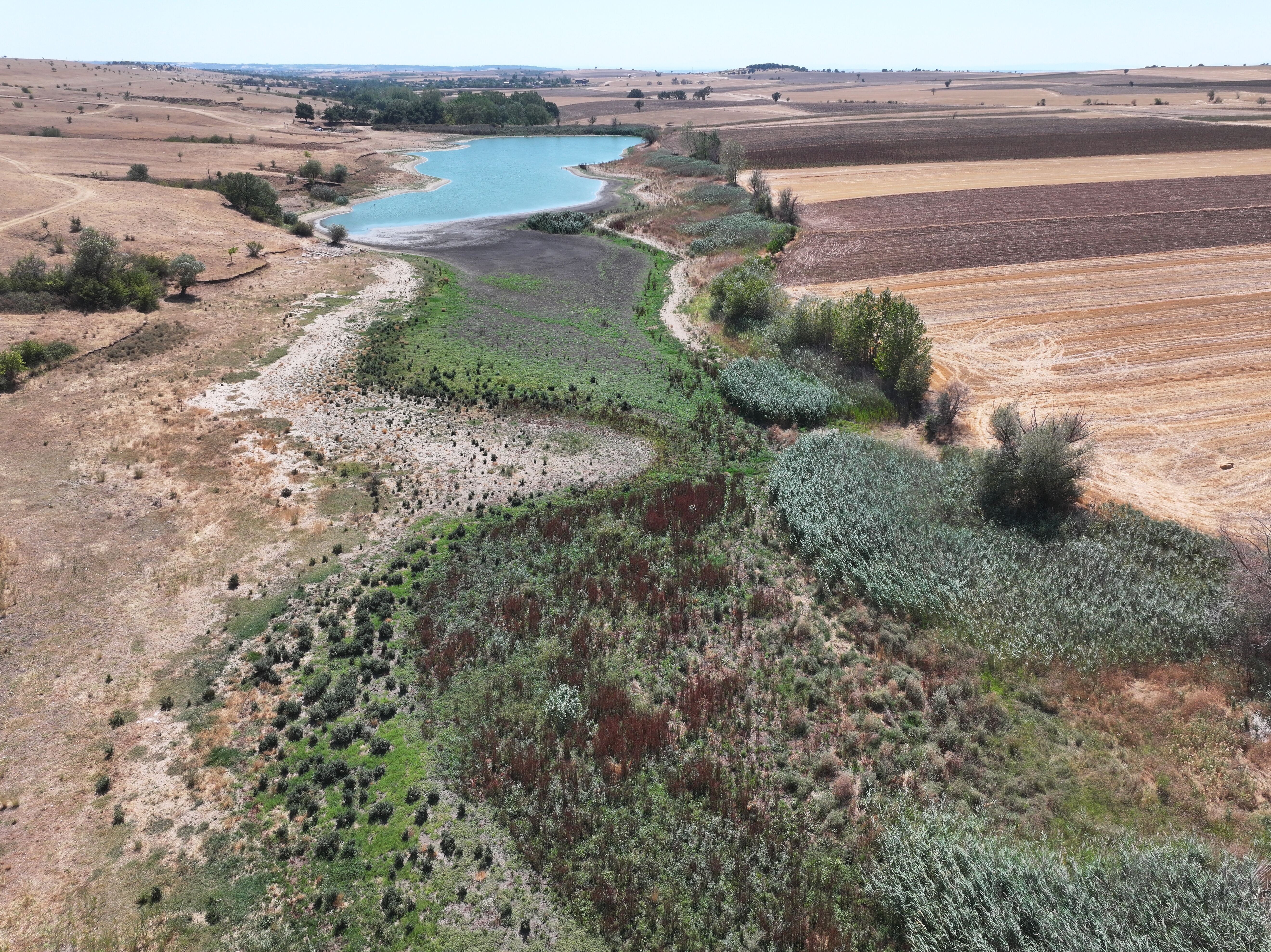 Edirne'deki Korucuköy Göleti'nin su seviyesi kuraklık nedeniyle azaldı