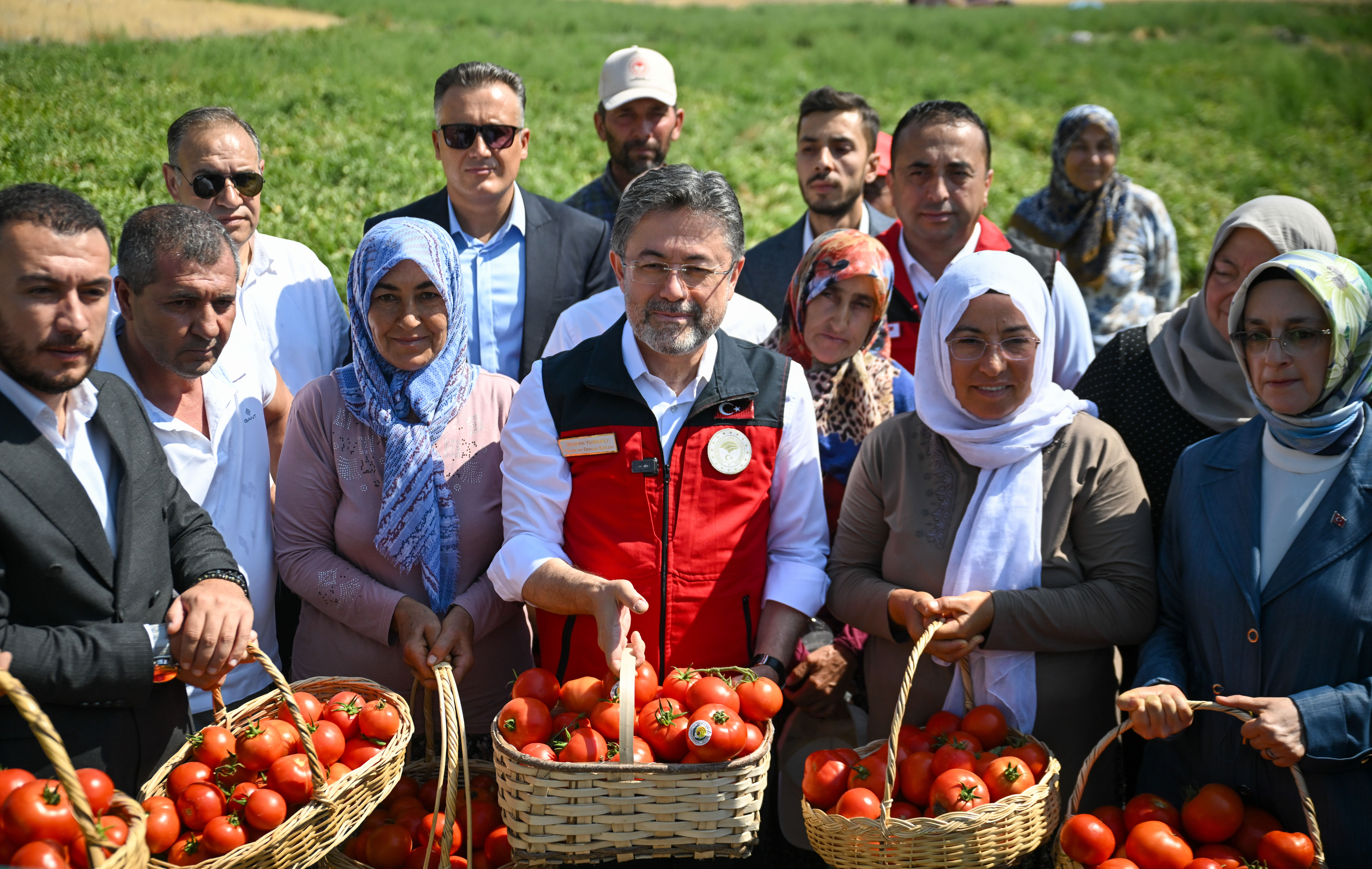 Tarım ve Orman Bakanı Yumaklı, Ayaş'ta domates hasadına katıldı: