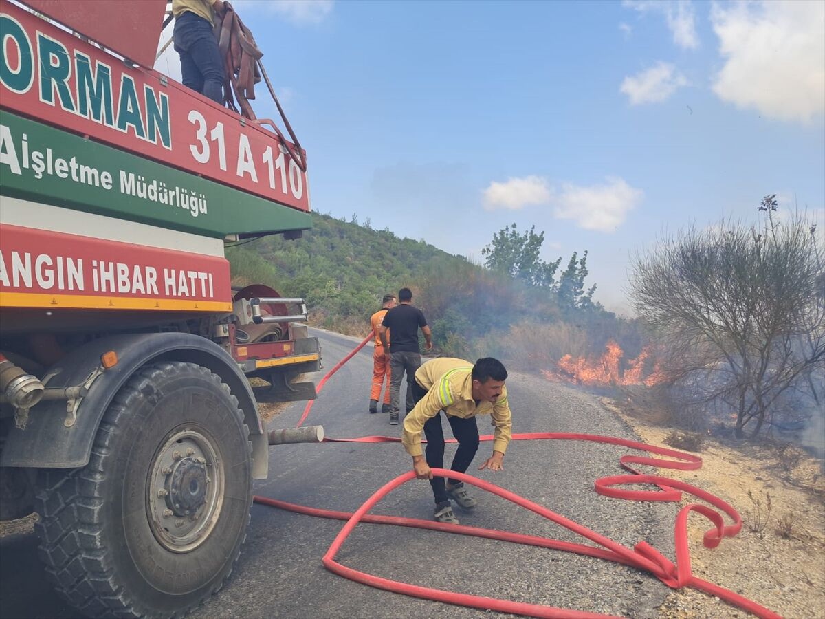 Hatay Yayladağı'nda çıkan orman yangını kontrol altına alındı