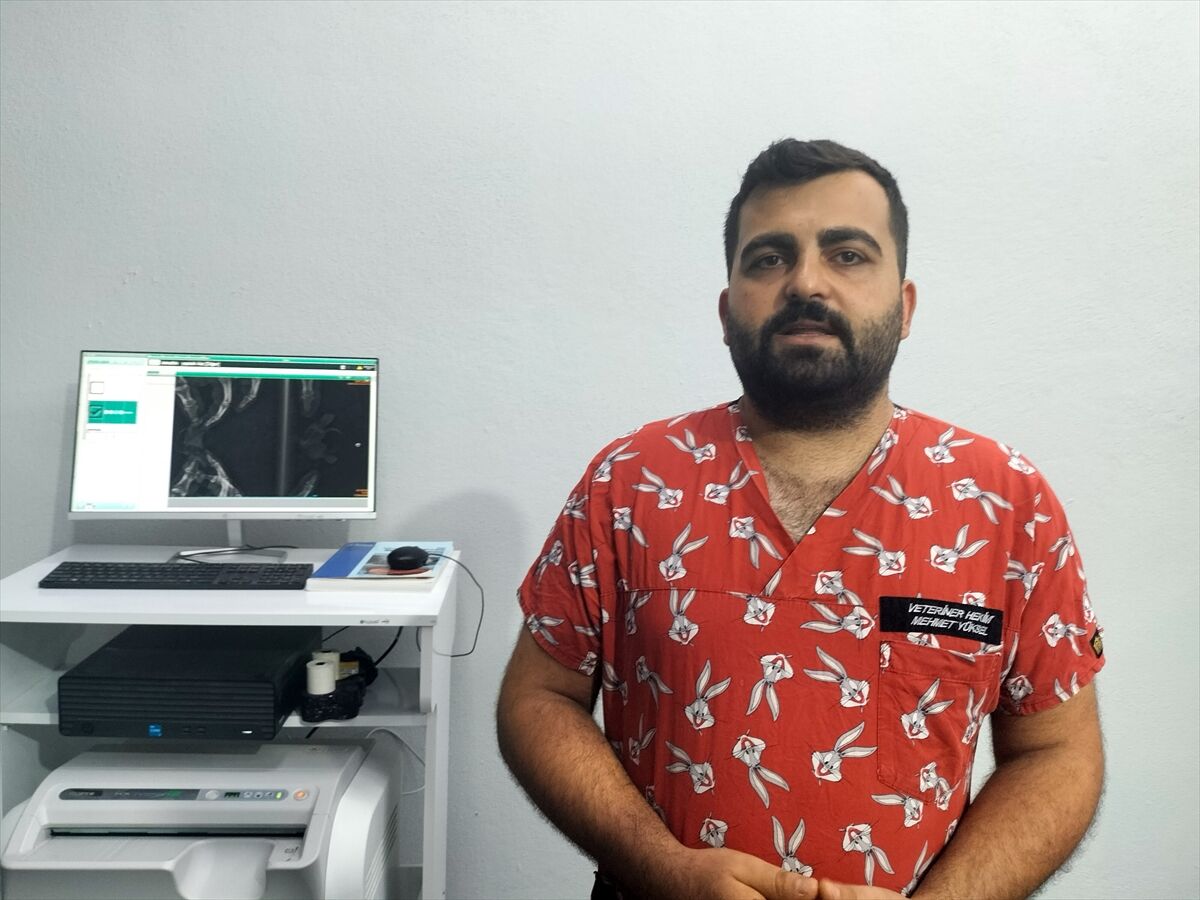 Antalya'da siyam ikizi yavru caretta caretta görüntülendi