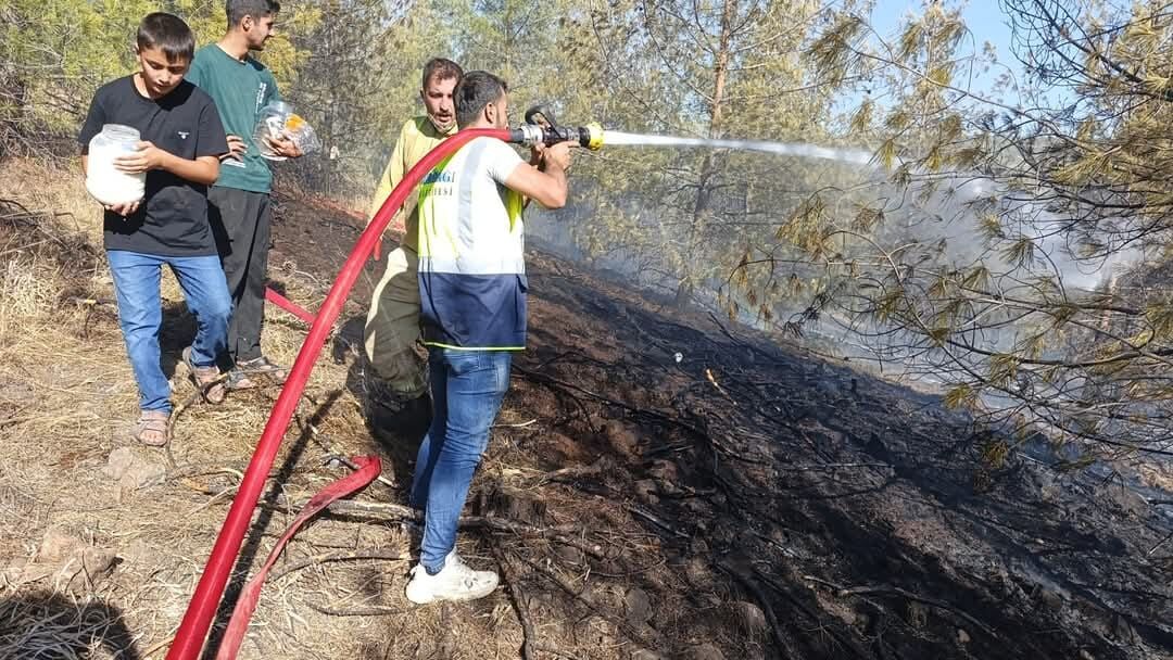 Gaziantep'te çıkan orman yangını kontrol altına alındı