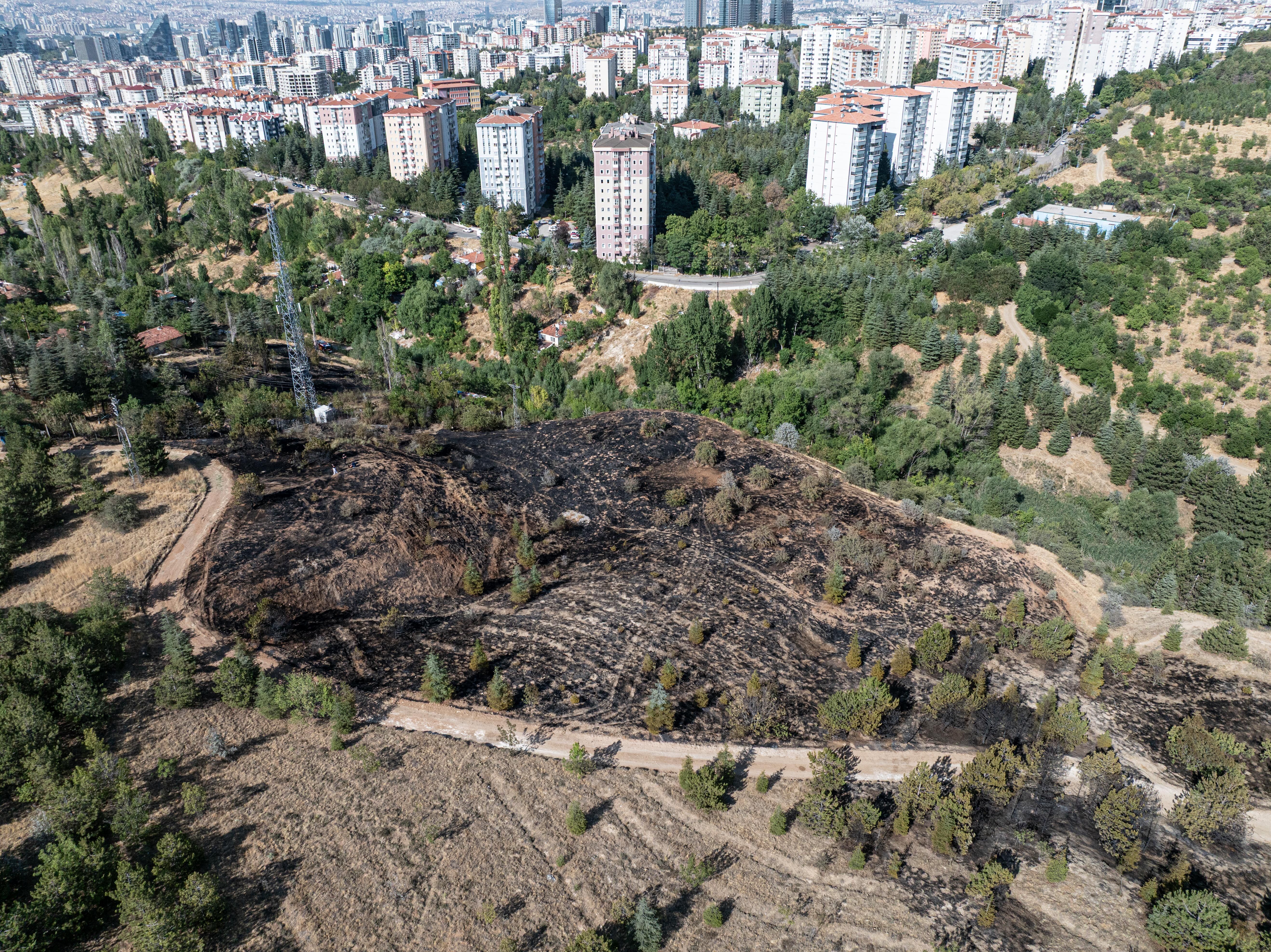 Ankara'da çalılık alanda çıkan yangın söndürüldü