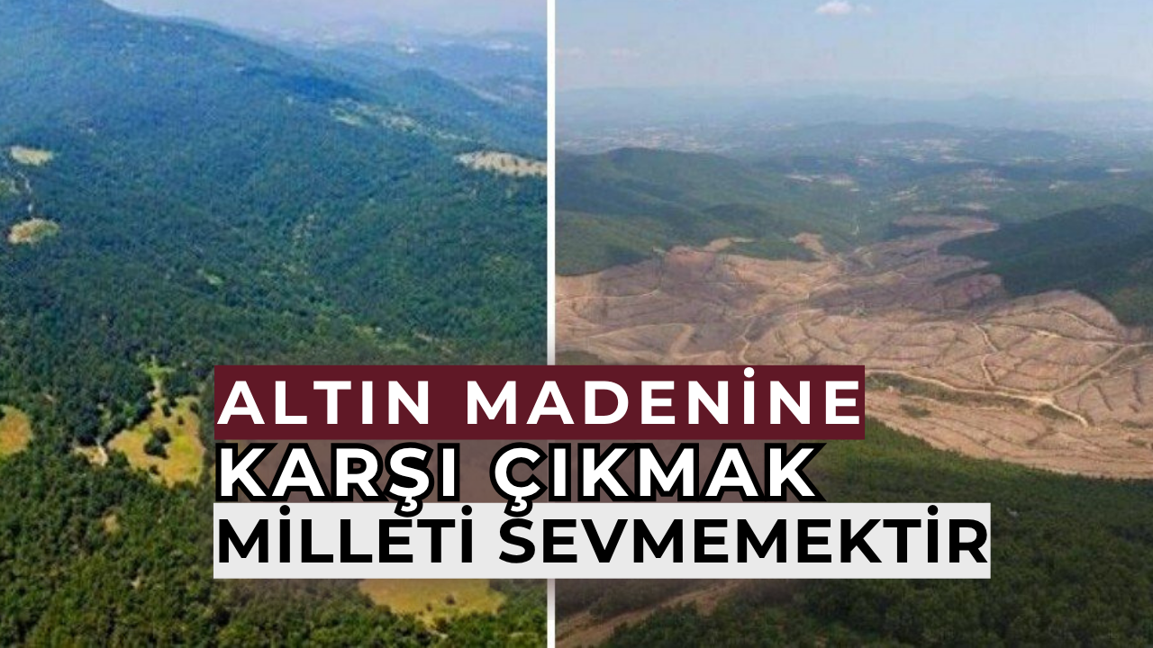 Gölge etmeyin devlet, millet kazansın