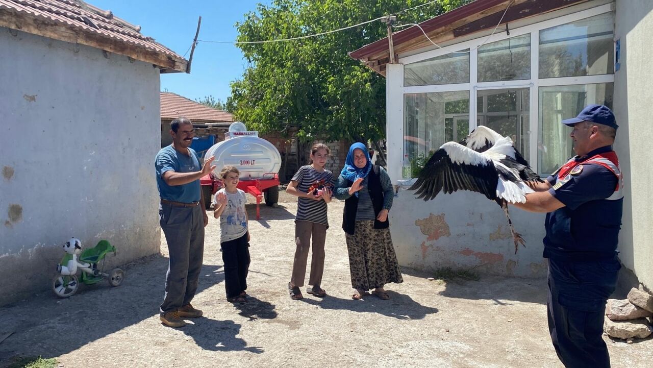 Yozgatlı ailenin sahip çıktığı leylek "Su", jandarma ekiplerine teslim edildi