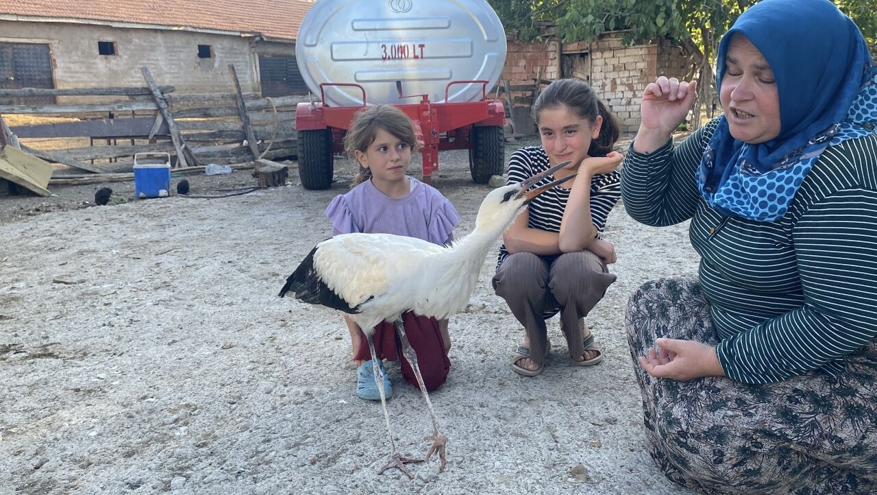 Yaralı leylek "Su"ya Yozgatlı aile sahip çıktı