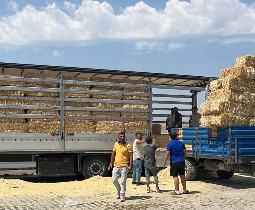 Çankırı'dan Karabük'teki yangından etkilenen çiftçilere yem desteği