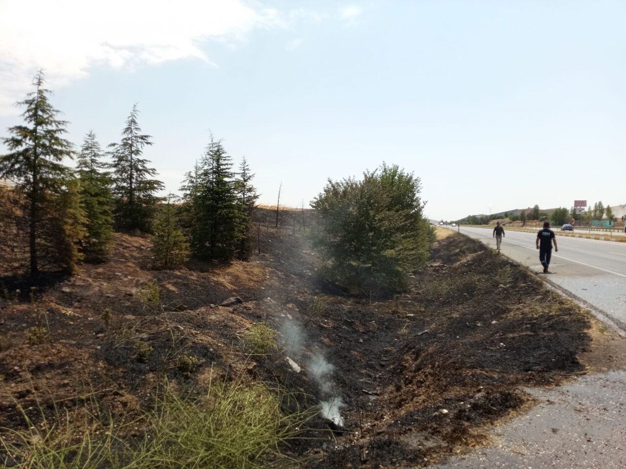 Sarayönü'nde çıkar yangında ağaçlar zarar gördü