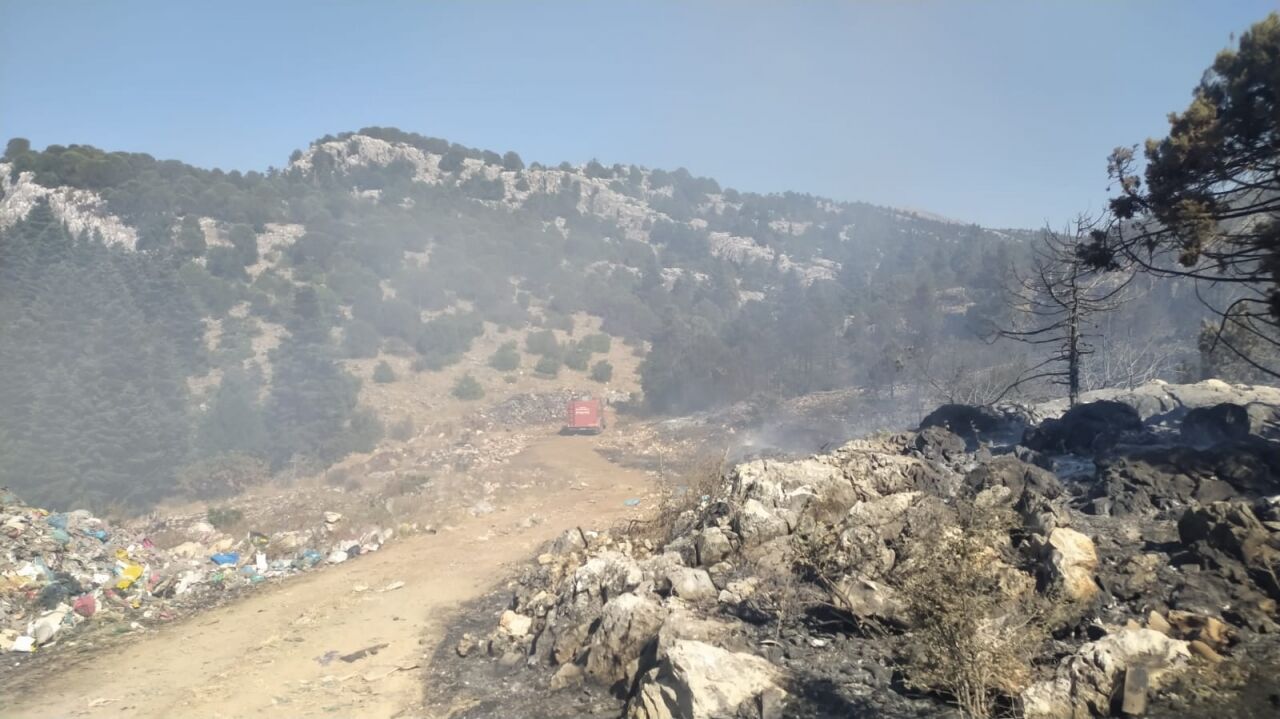 Konya'da ormana sıçrayan yangın söndürüldü