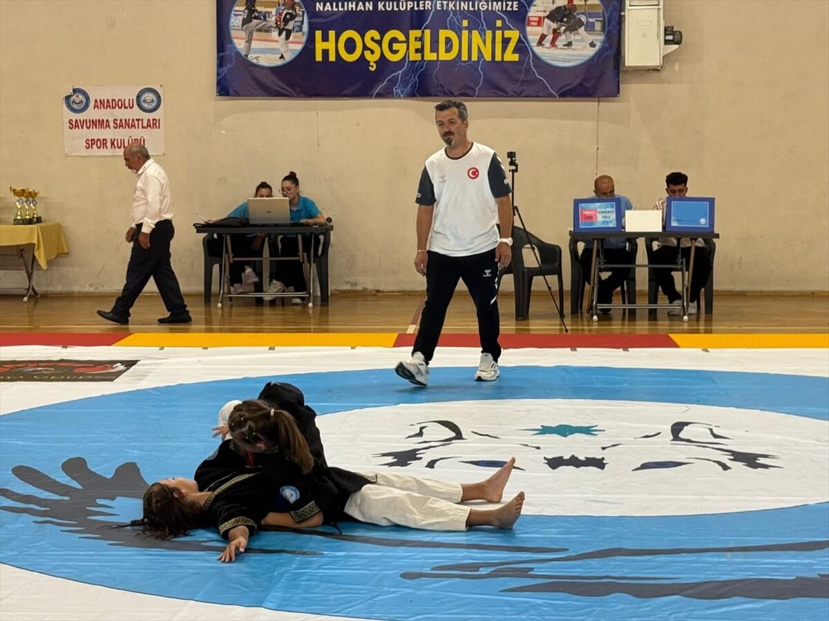 Nallıhan'da Alpagut Turan Dövüş Sanatları etkinliği başladı