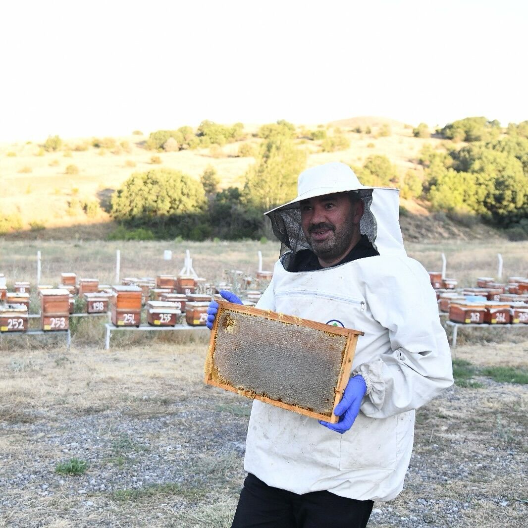 Pursaklar Belediyesinin 300 kovanda ürettiği balın hasadına başlandı