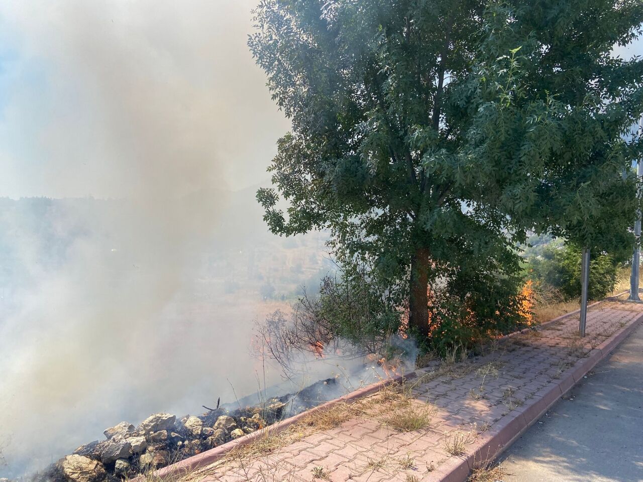 Beyşehir'de otluk alanda çıkan yangın söndürüldü