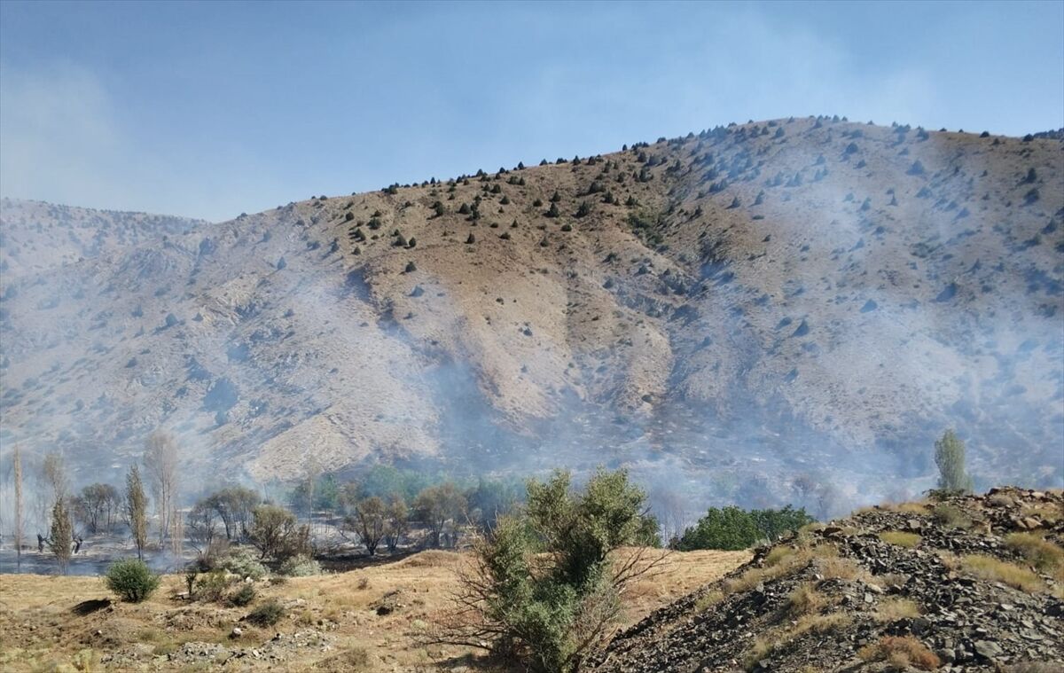Niğde'de ağaçlık alanda çıkan yangın kontrol altına alındı