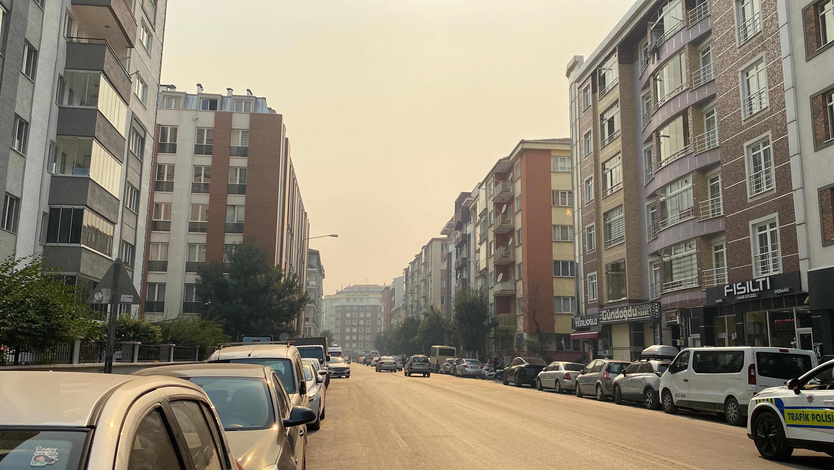 Bilecik'teki orman yangınının dumanı Eskişehir'e ulaştı