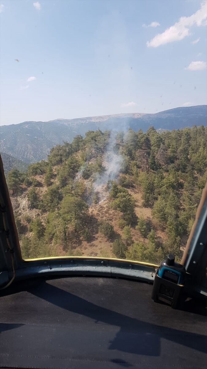 Eskişehir'de yıldırım düşmesi sonucu çıkan orman yangını kontrol altına alındı