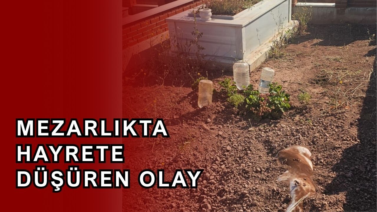 Mezarlık ziyaretinde şok eden olay
