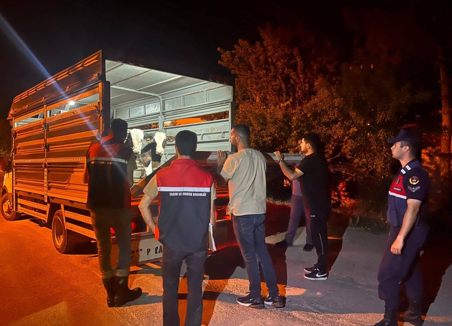 Şap hastalığından karantinadaki köyden hayvan sevk eden besiciye para cezası