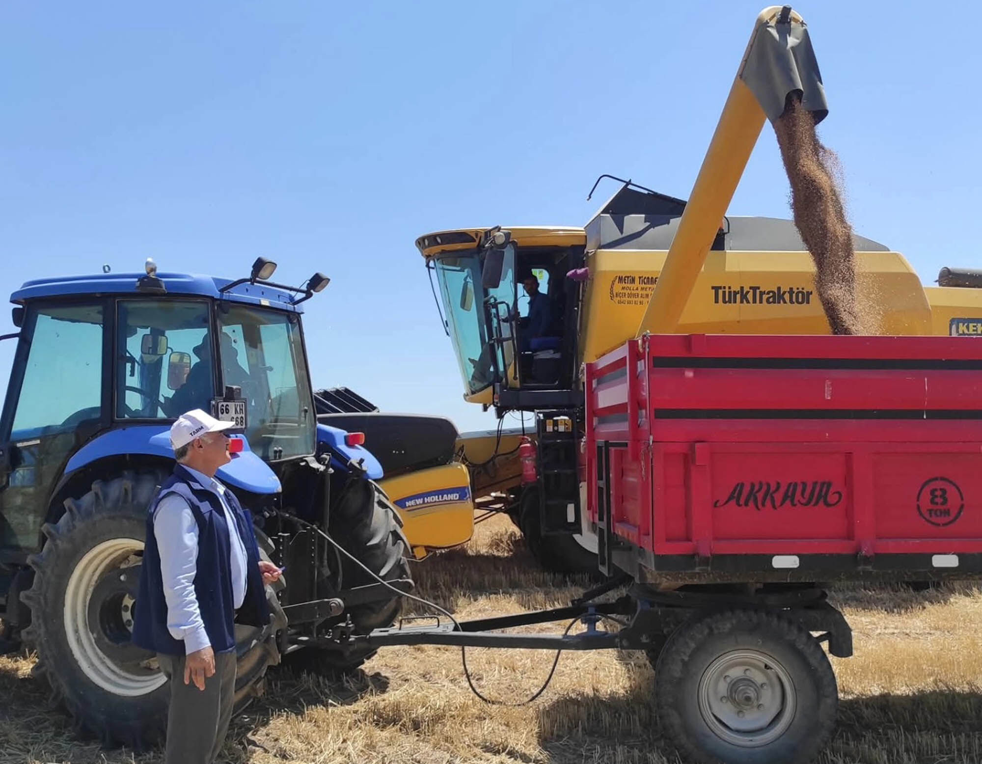 Sorgun'da buğday hasadı başladı