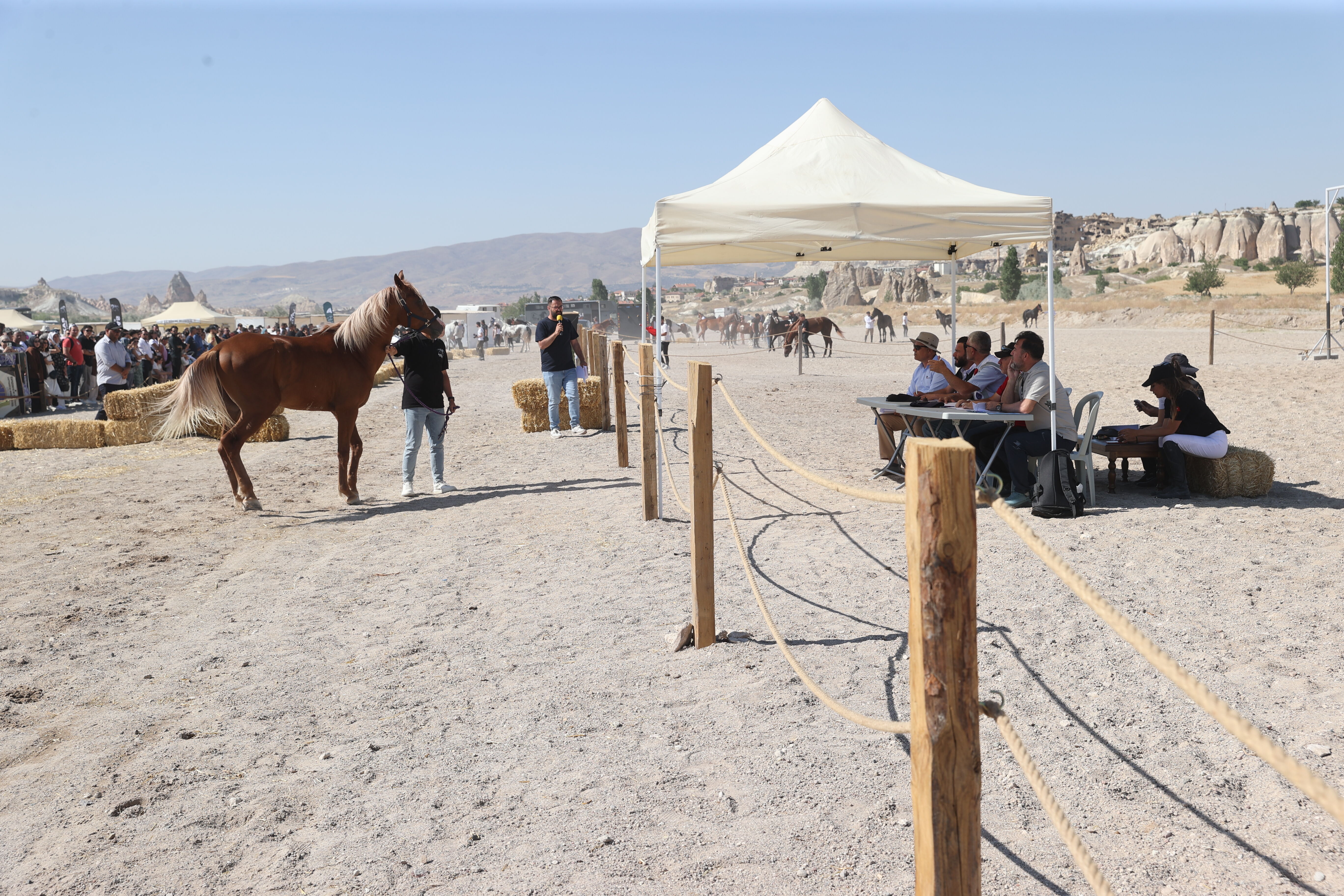Kapadokya'da 'At Güzellik Yarışması' düzenlendi