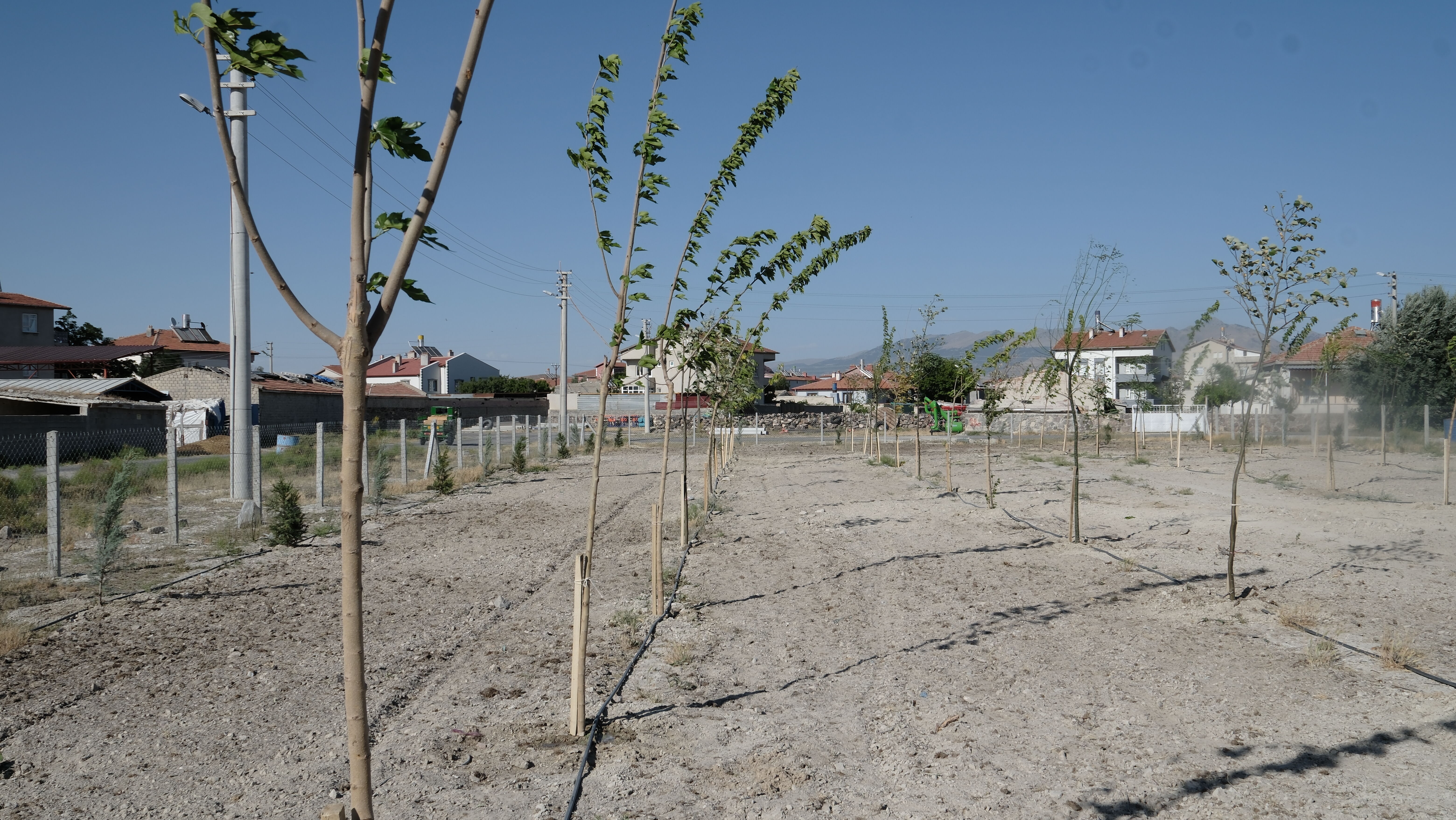 Kazada hayatını kaybeden özel harekat kursiyeri Ergin'in adı Karapınar'da parkta yaşatılacak