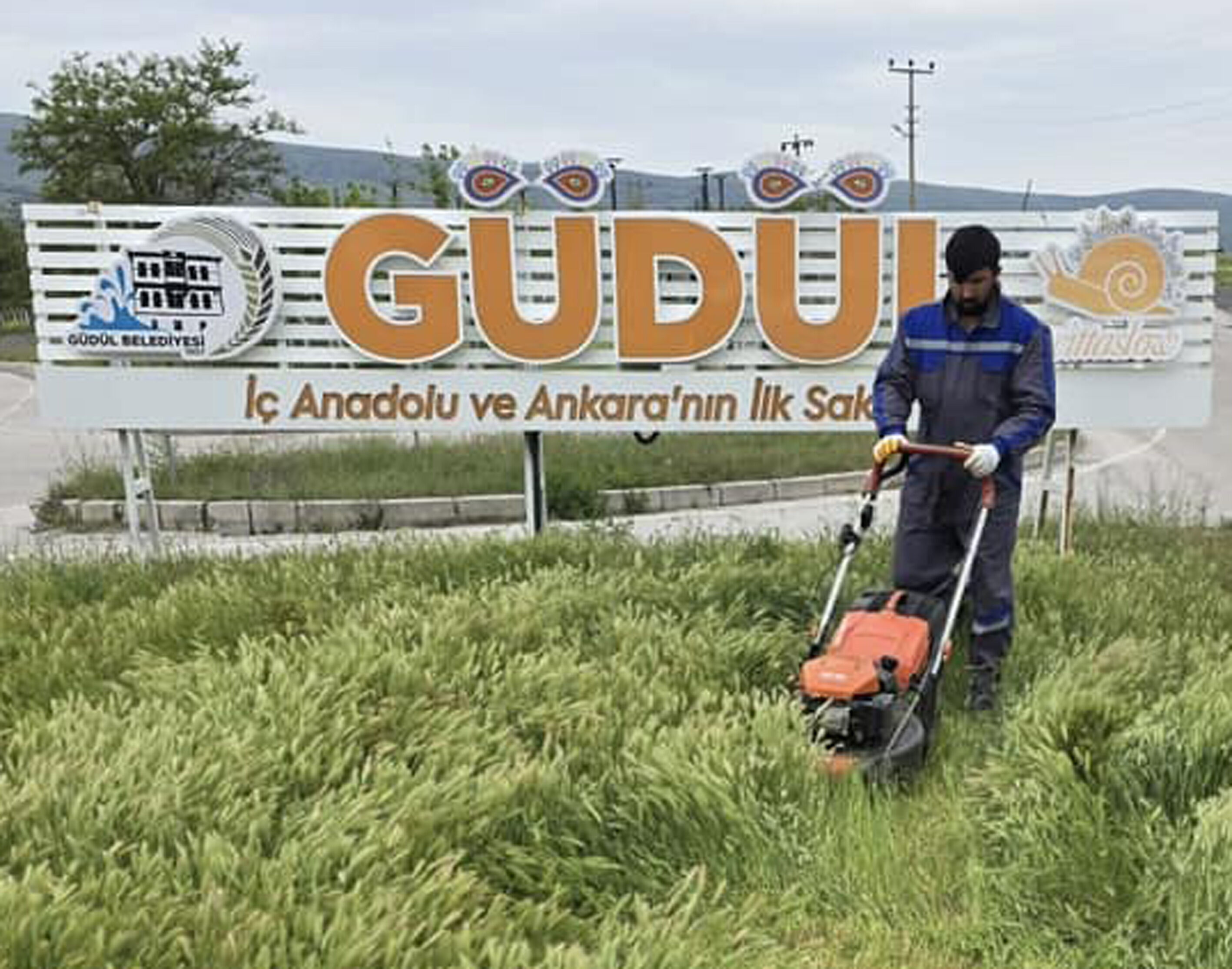 Güdül'de haşereyle mücadele için ilaçlama yapılıyor