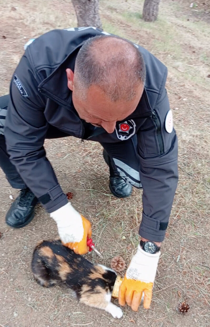 Yozgat'ta kafası konserve kutusuna sıkışan kediyi güvenlik görevlisi kurtardı