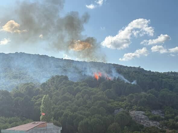 Pendik'te ormanlık alanda çıkan yangın söndürüldü