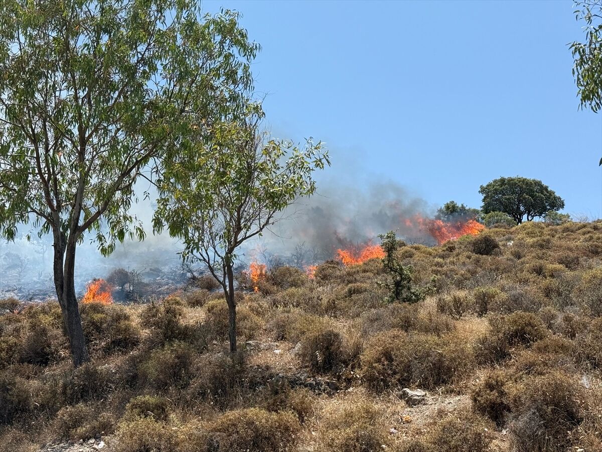 Bodrum'da makilik ve otluk alanda çıkan yangına müdahale ediliyor