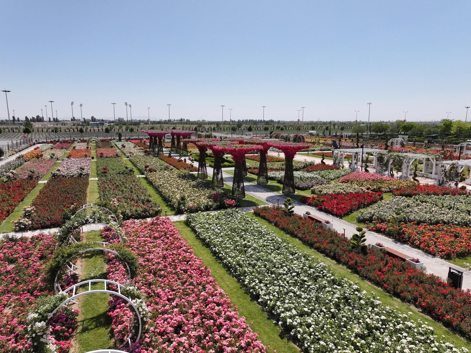 Konya'da 190 türün bulunduğu Karatay Mevlana Gül Parkı yeni sezonunu açtı