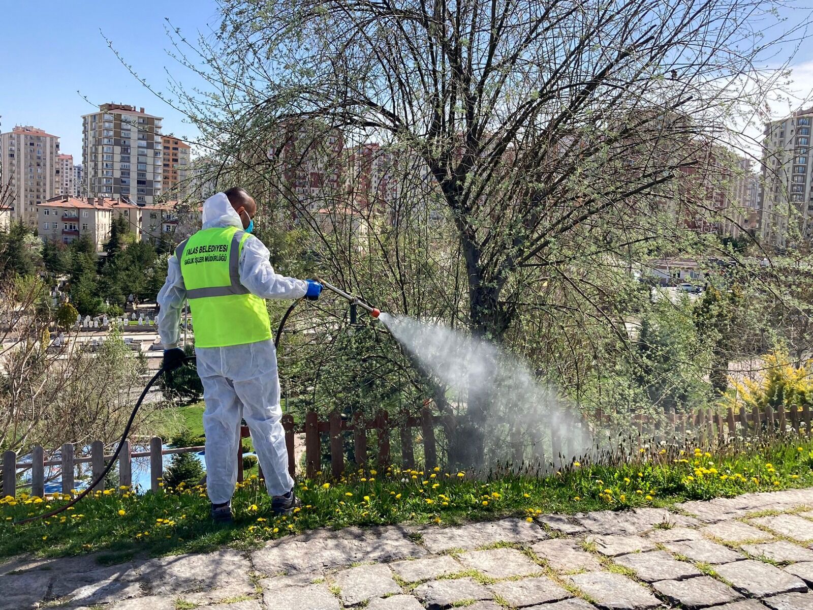 Talas'ta haşereyle mücadele için ilaçlama çalışmaları sürüyor