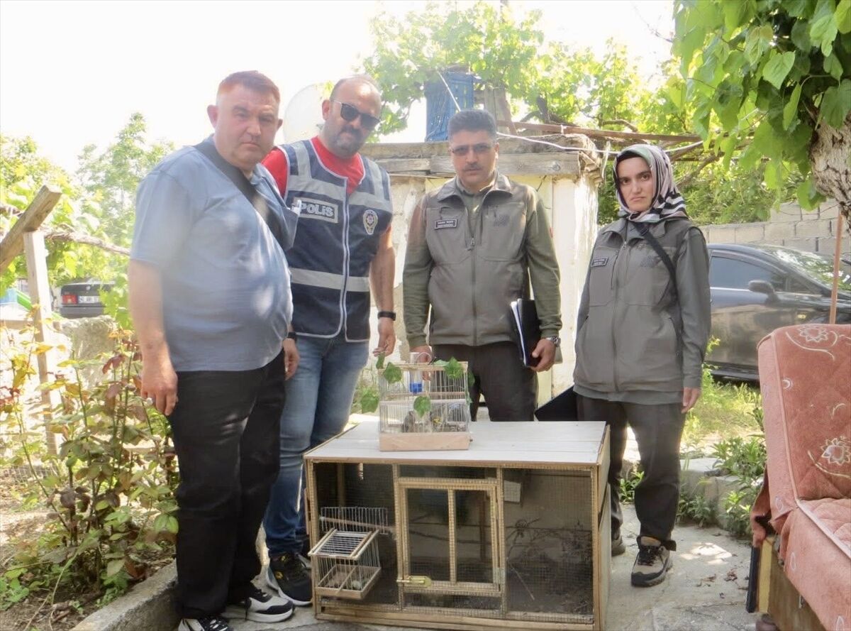 Kırşehir'de evinde saka kuşu satan kişiye 77 bin 600 lira ceza kesildi