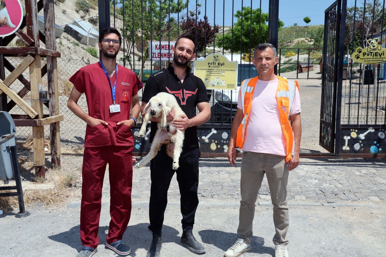 Kayseri'de koyun ve kuzularını kaybeden besici, belediye sayesinde hayvanlarına kavuştu