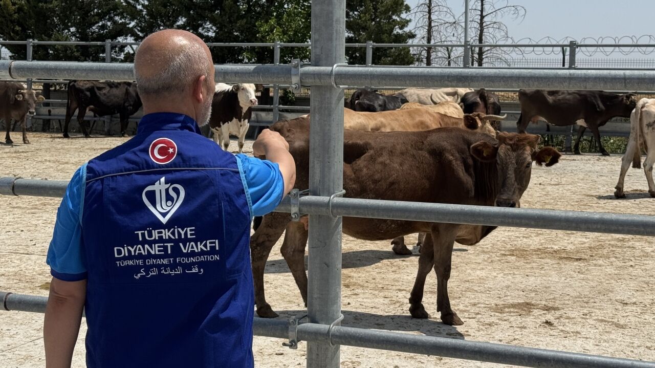 Türkiye Diyanet Vakfı, Konya'da 4 bin 25 kurban hissesinin etini ihtiyaç sahiplerine ulaştıracak