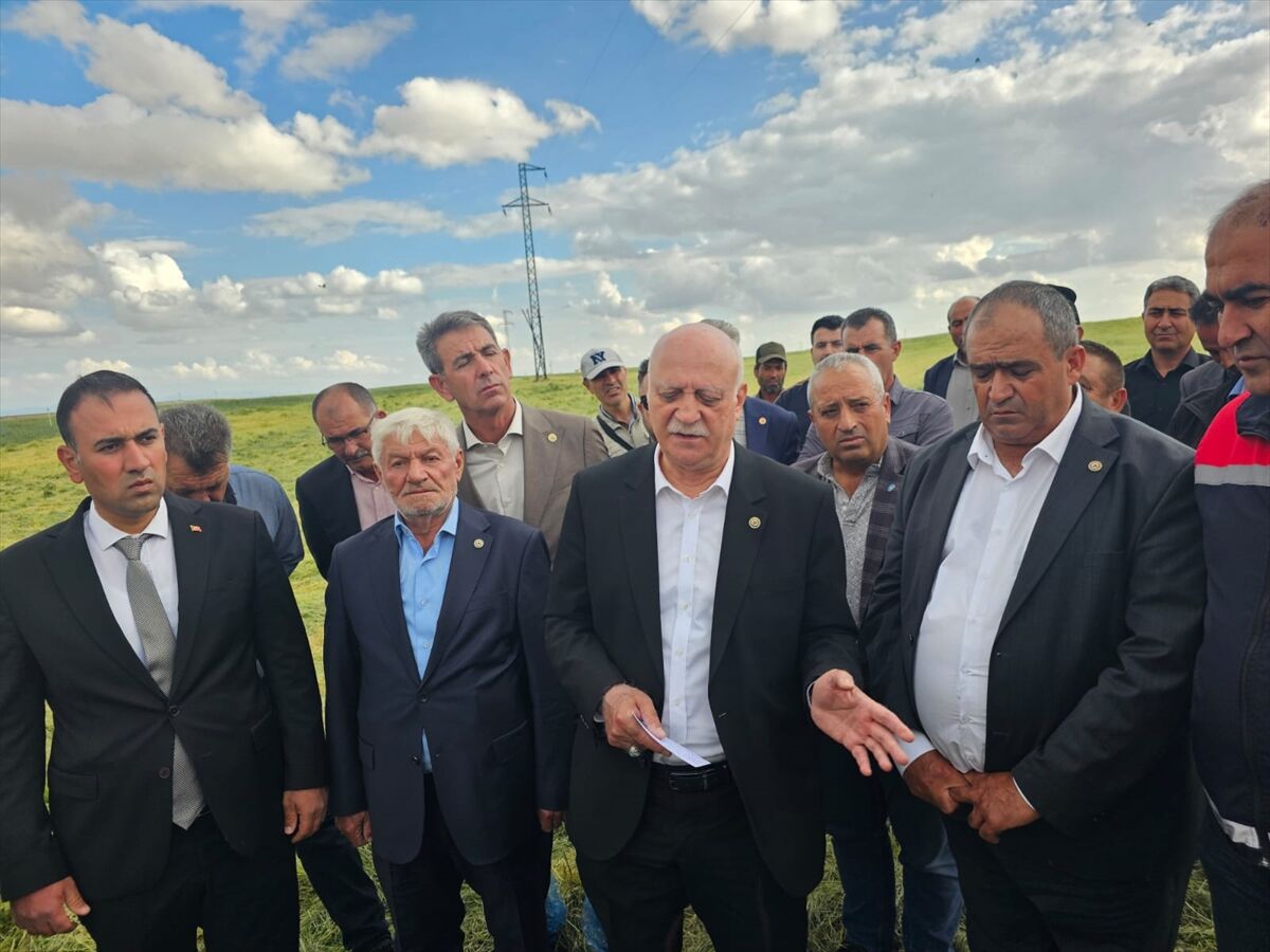 TZOB Genel Başkanı Bayraktar, Aksaray'da zirai dondan etkilenen tarım alanlarını inceledi