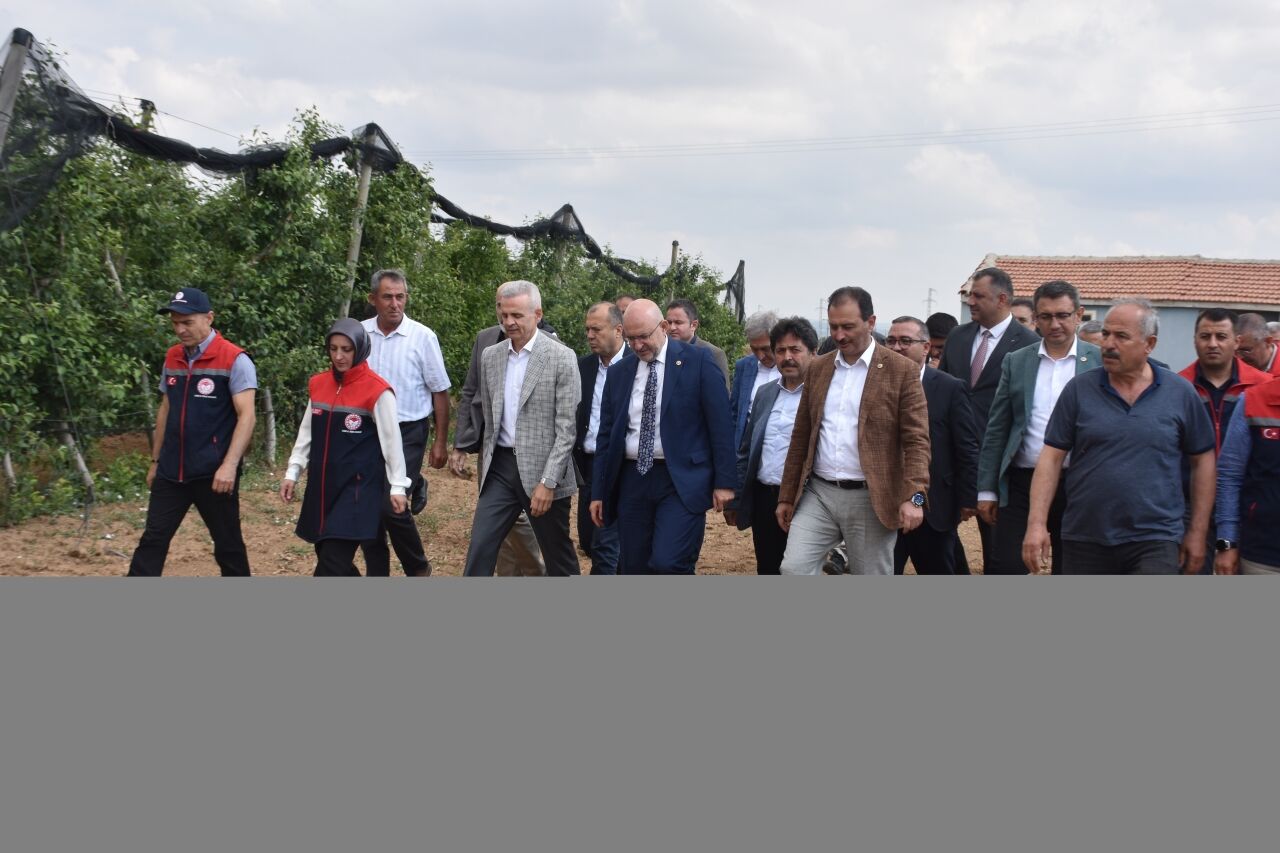 TBMM Zirai Don Olayını Araştırma Komisyonu üyeleri, Karaman'da elma bahçelerini inceledi