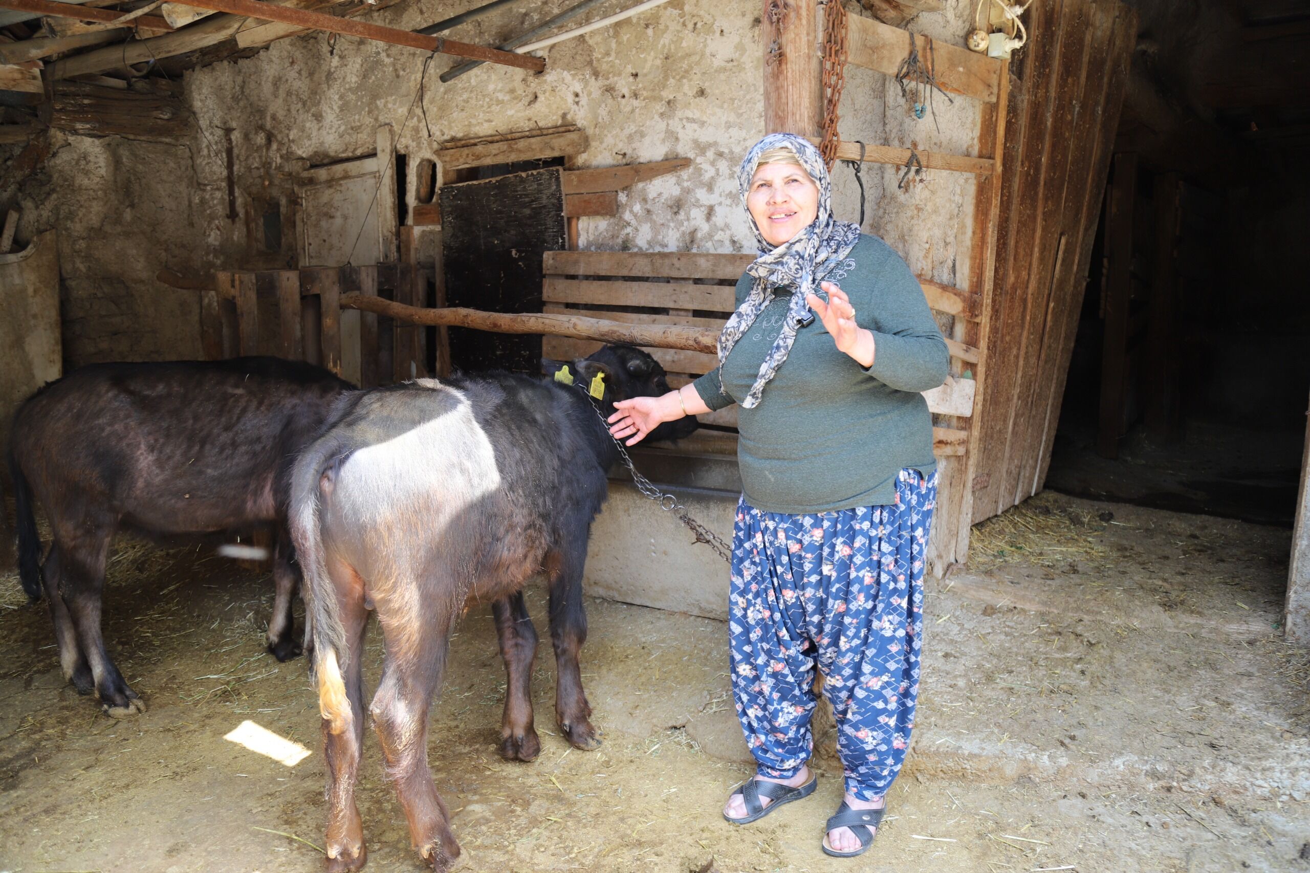 Büyükşehir’den üreticiye destek