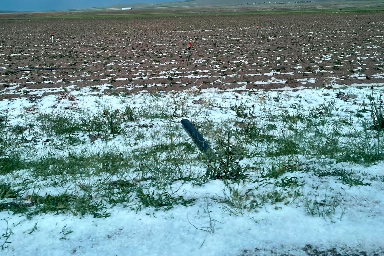 Aksaray'da dolu tarım arazilerine zarar verdi