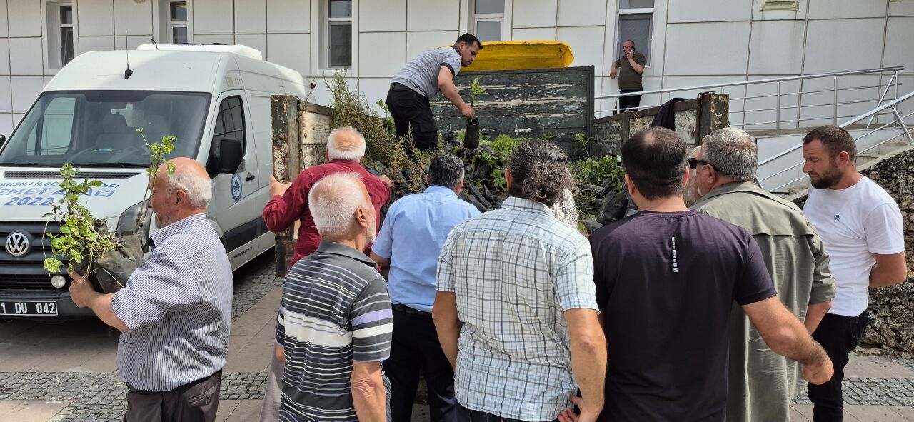 Bahşılı'da vatandaşlara 2 bin fidan dağıtıldı
