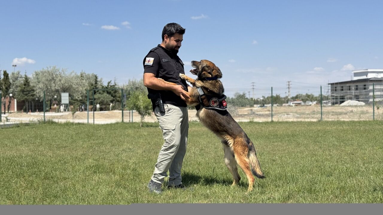 Görevini tamamlayan emniyetin bomba arama köpeği "Artur" ekip arkadaşından ayrılmayacak
