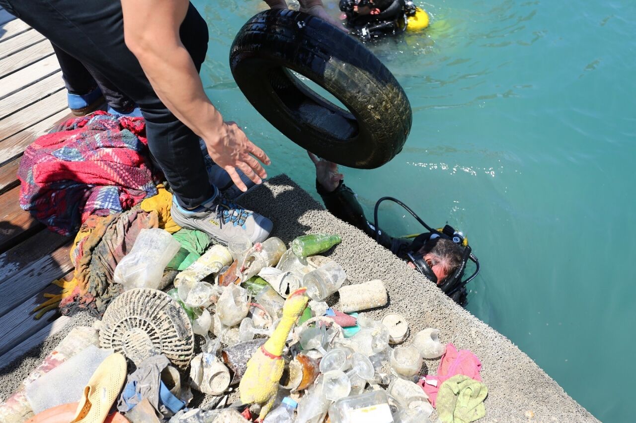 Deniz dibi temizliği sonrası denize 20 bin balık yavrusu bırakıldı
