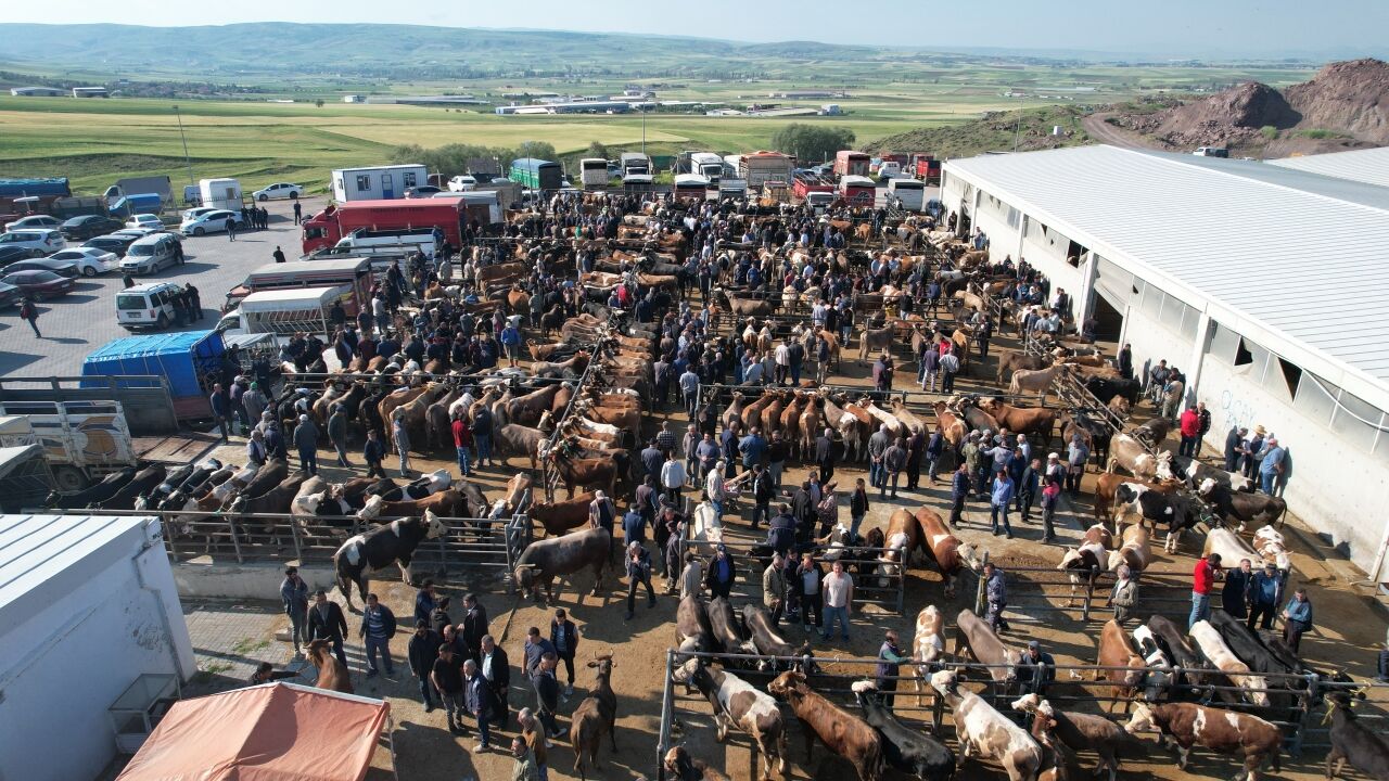 Çubuk Belediye Başkanı Demirbaş, kurban pazarını ziyaret etti