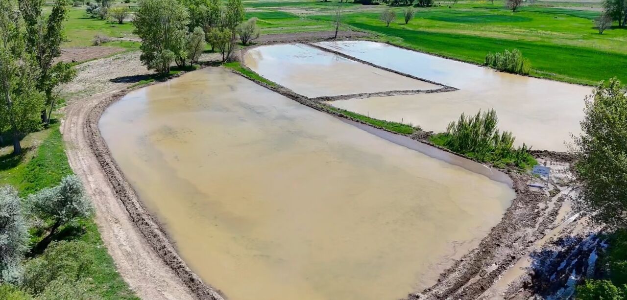 Kızılcahamam’da çeltik ekimi yapıldı