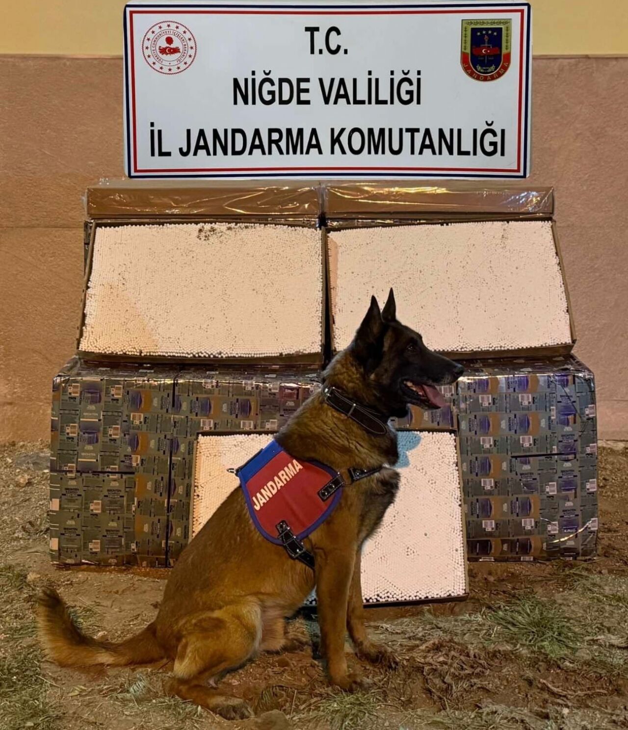 Niğde'de 175 bin dolu makaron ele geçirildi