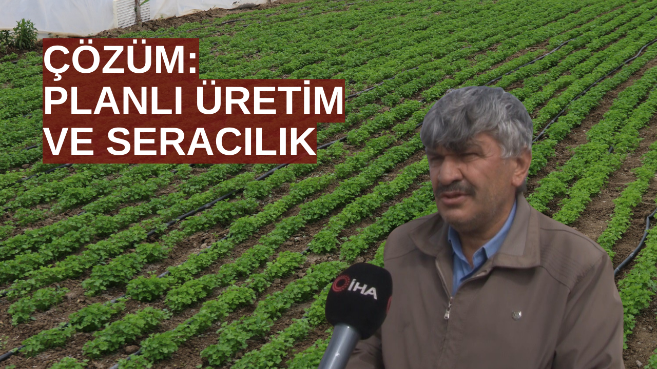 Yetersiz yağışlar fiyatları etkiledi