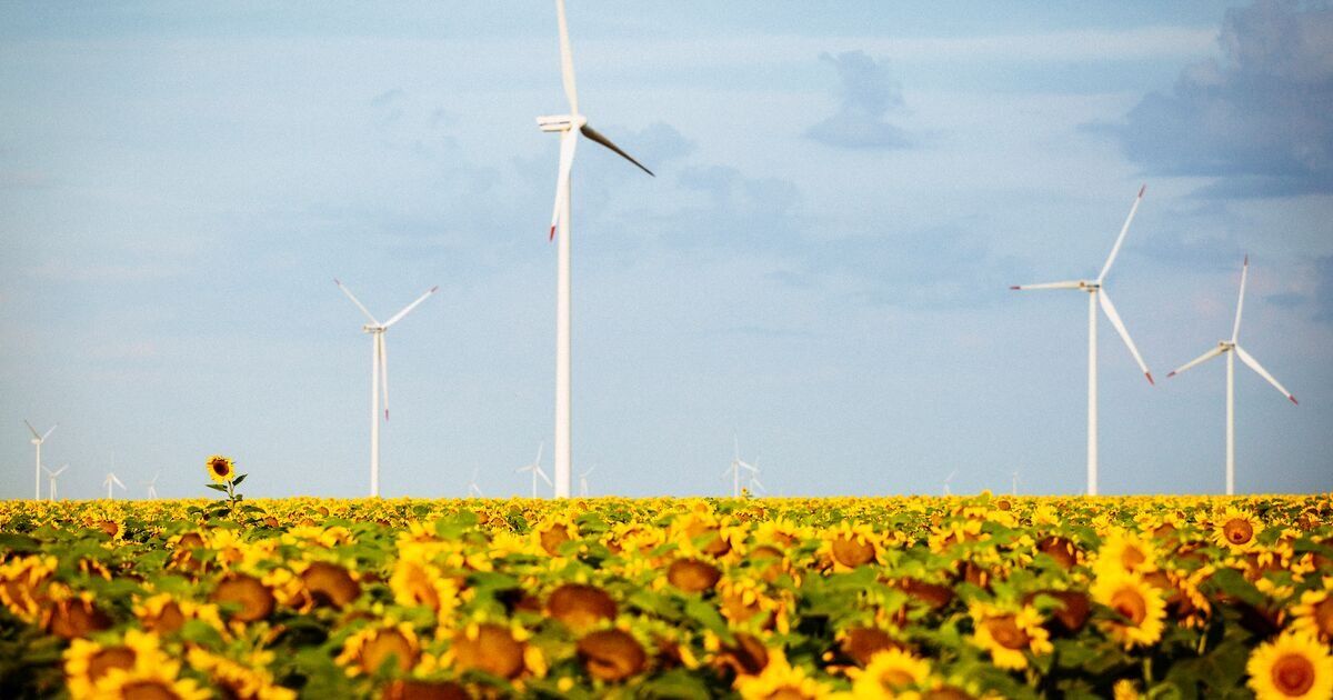 ING’nin iklim hedefleri, Bilimsel Tabanlı Hedefler Girişimi tarafından doğrulandı
