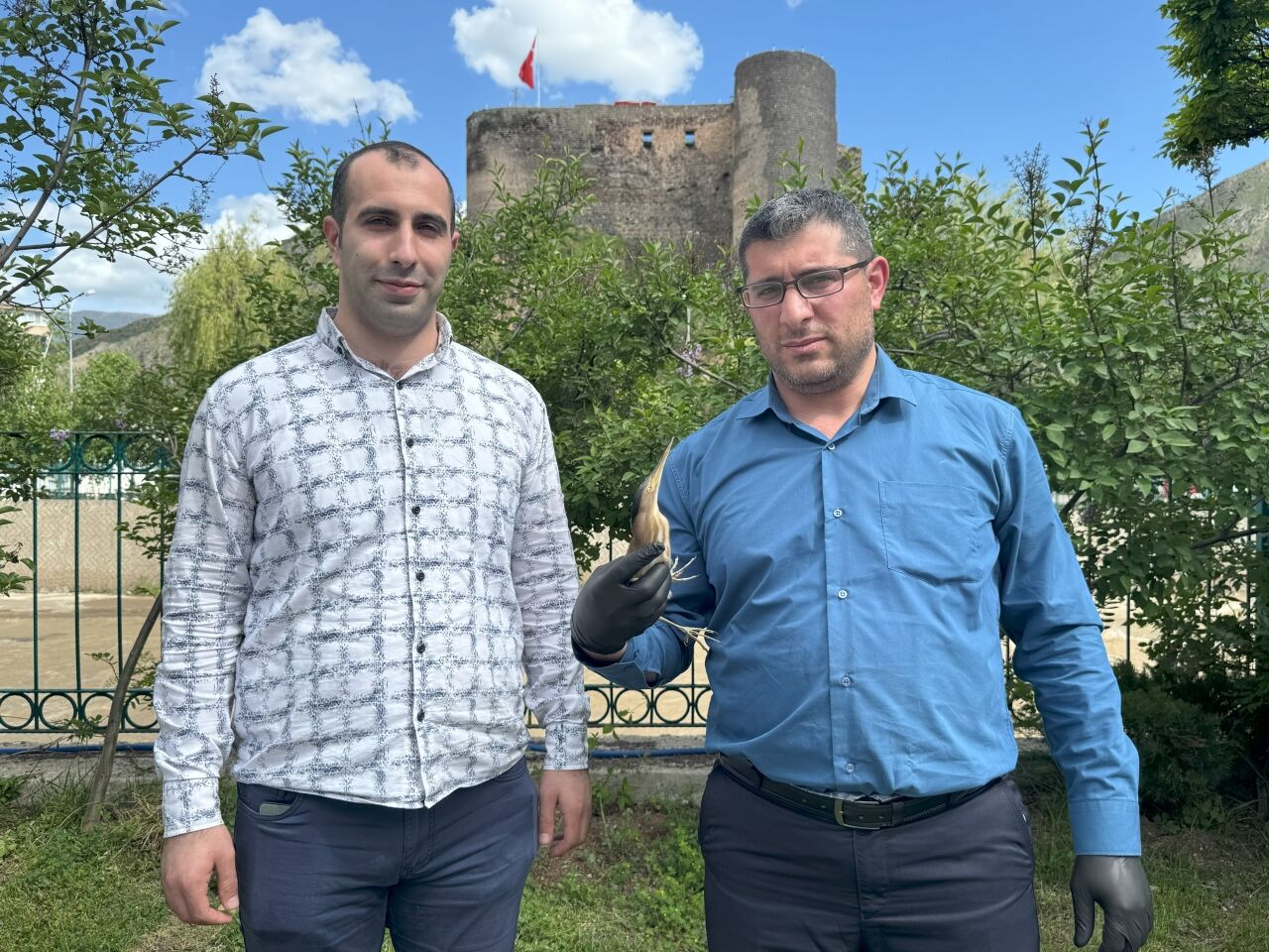 Erzurum'da nesli tehlike altında olan "Bayağı Balaban" yaralı olarak bulundu