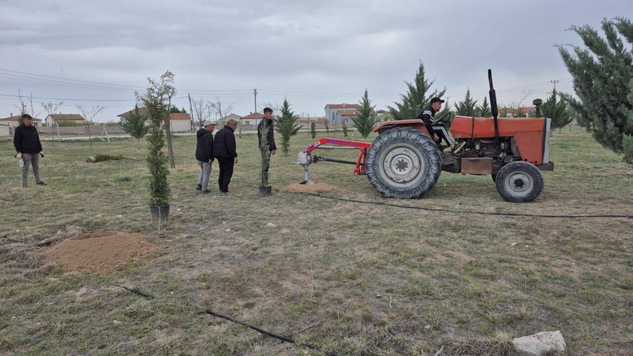 Eskil Belediyesinden yeşil bir gelecek için ağaç dikim etkinliği