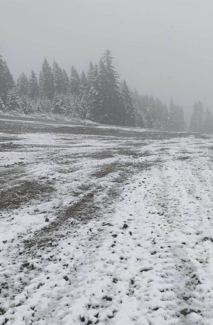 Ilgaz Dağı eteklerine kar yağdı