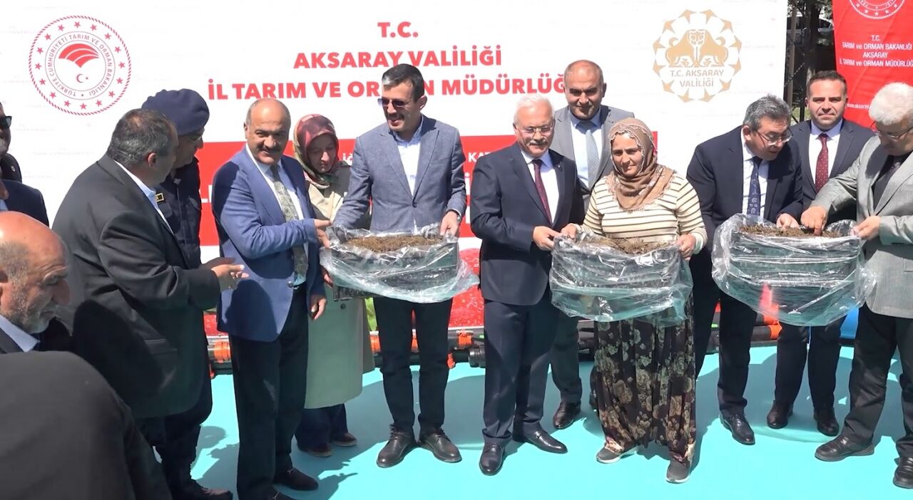 Aksaray'da çilek üreticilerine fide ve malzeme desteği verildi