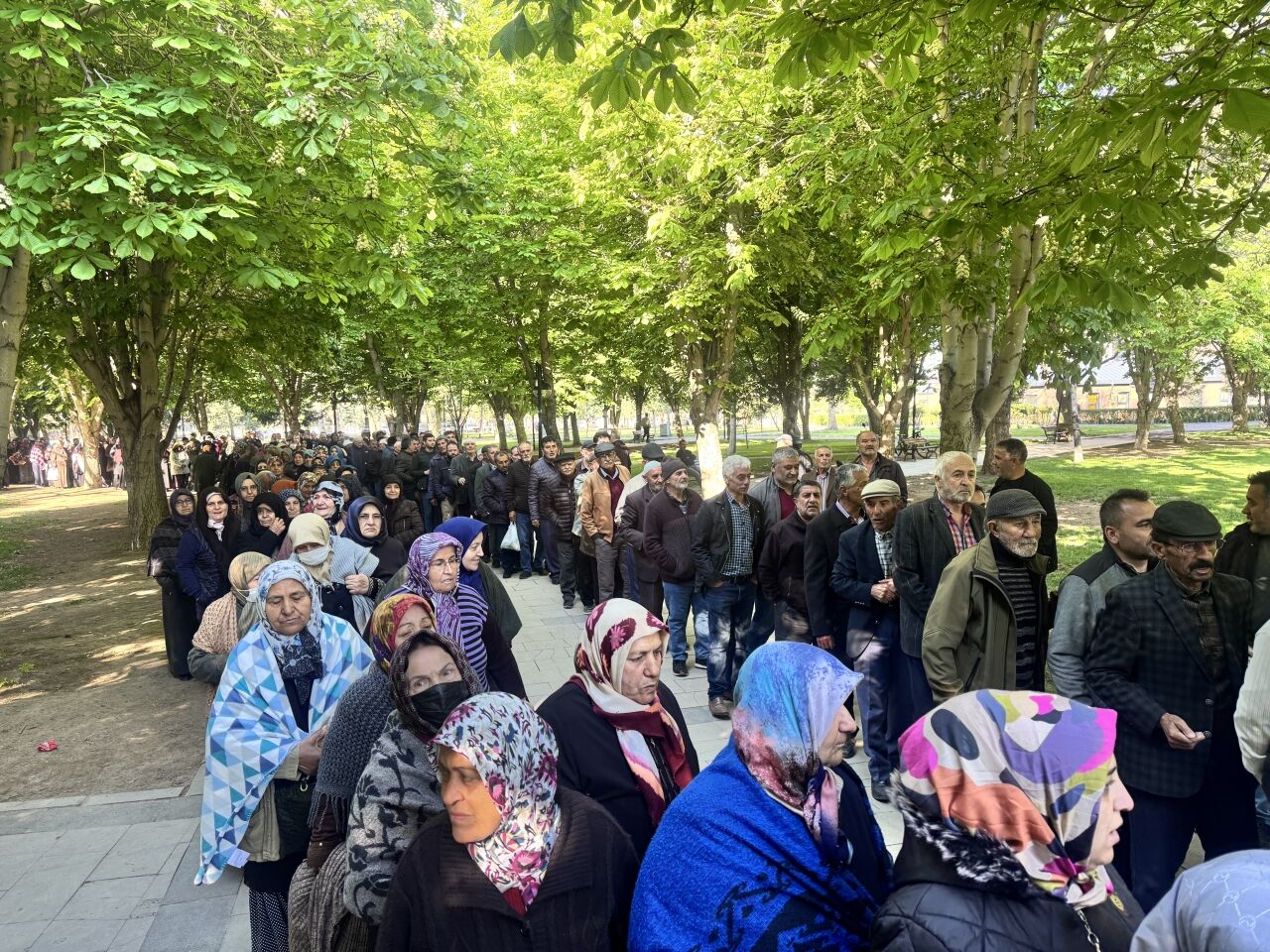 Kayseri'de üreticilere 550 bin organik domates fidesi dağıtıldı