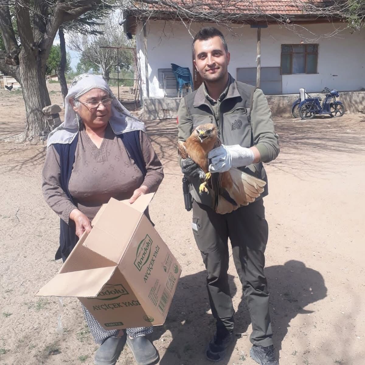 Kırşehir'de vatandaşın yaralı bulduğu kızıl şahin tedaviye alındı